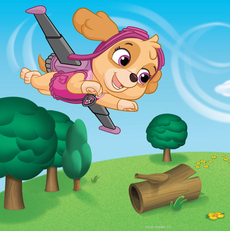 High-Flying Skye绘本故事第3页