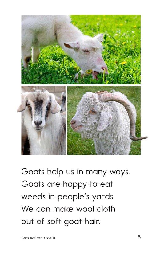 Goats Are Great!绘本故事第5页