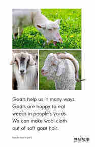 Goats Are Great!绘本故事第5页
