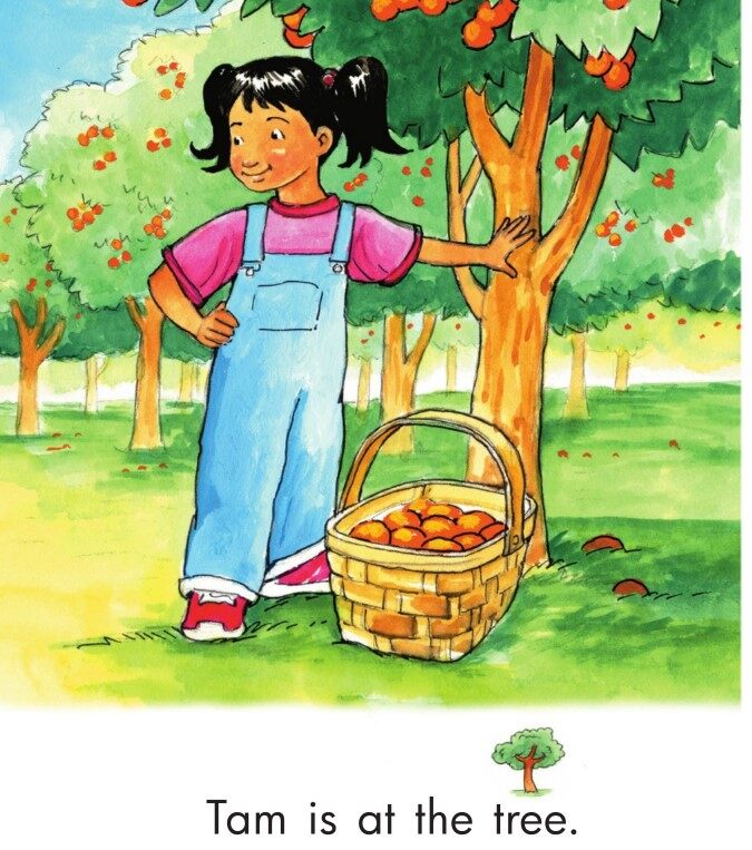 Tam and Sam Look Around绘本故事第4页