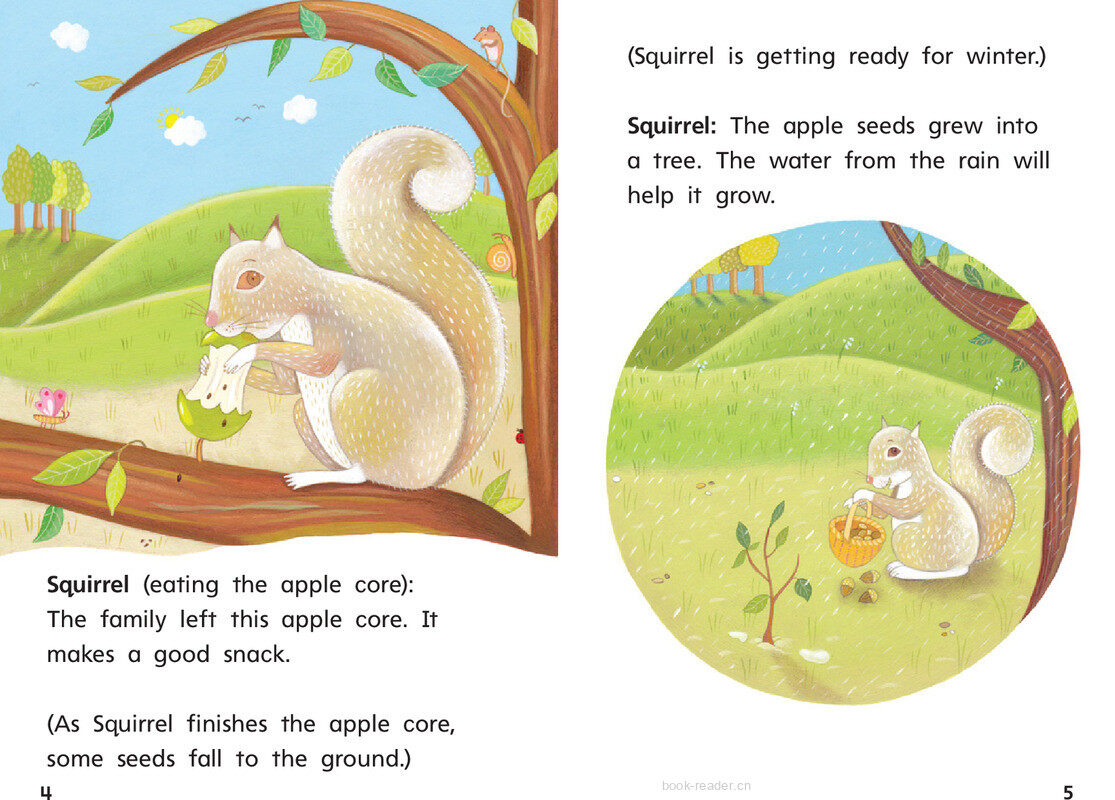 G1 Bey U3W2 A Tree's Life绘本故事第5页