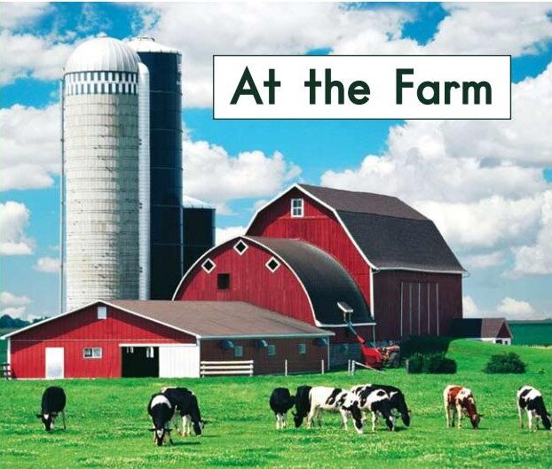 At the farm绘本故事第2页