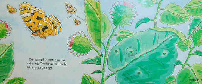 From caterpillar to butterfly绘本故事第5页