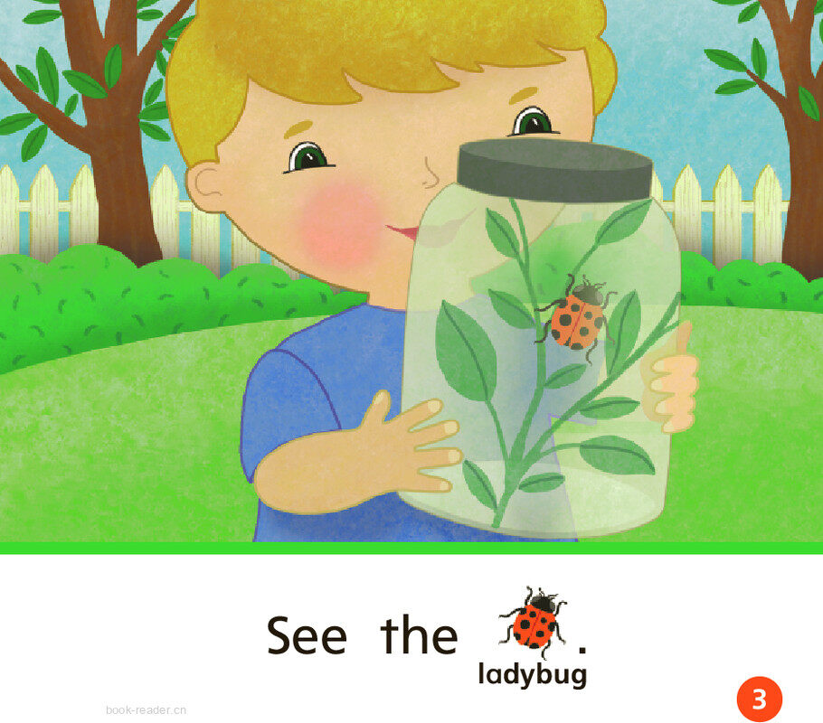 GK Approach U02W3 We Like Bugs!绘本故事第4页