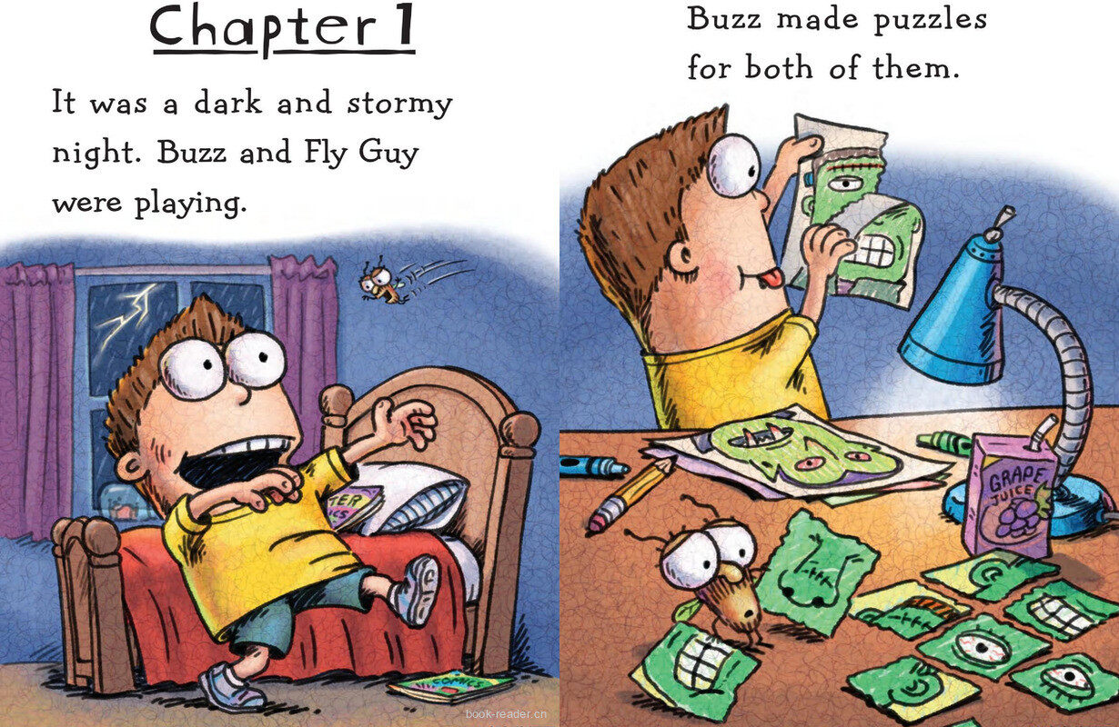 Fly Guy and the Frankenfly绘本故事第4页