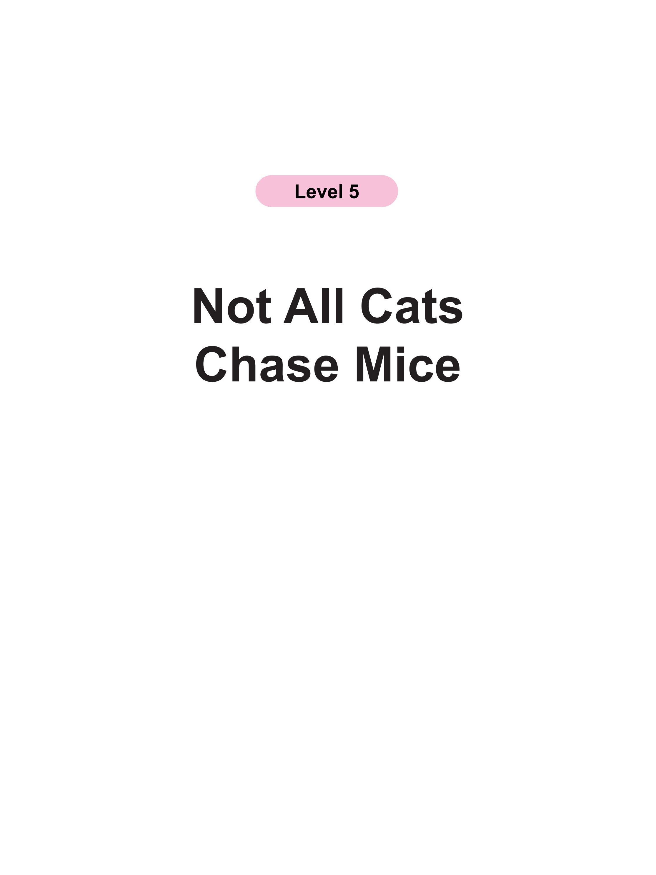 Not All Cats Chase Mice绘本故事第2页