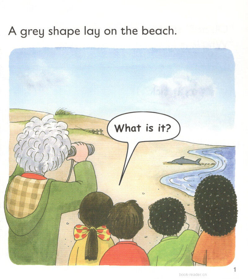 L4 Dolphin Rescue绘本故事第3页