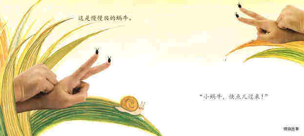 手，手，手游戏绘本故事第3页