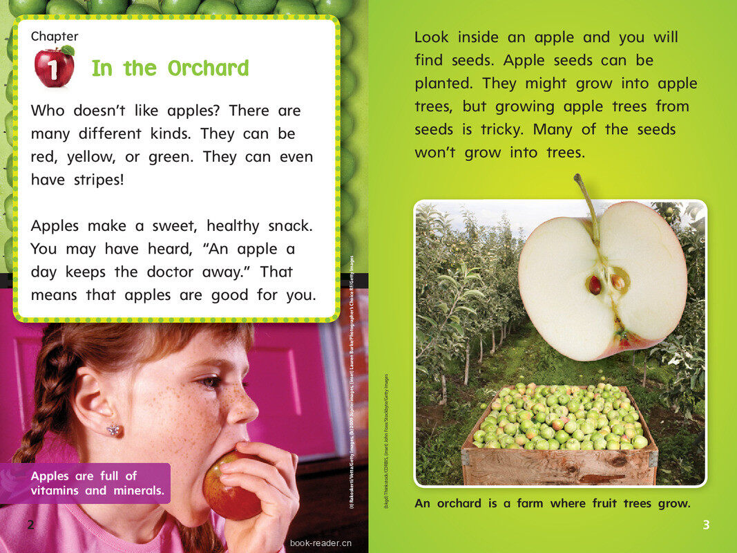 G1 Bey U3W5 Apples from Farm to Table绘本故事第4页