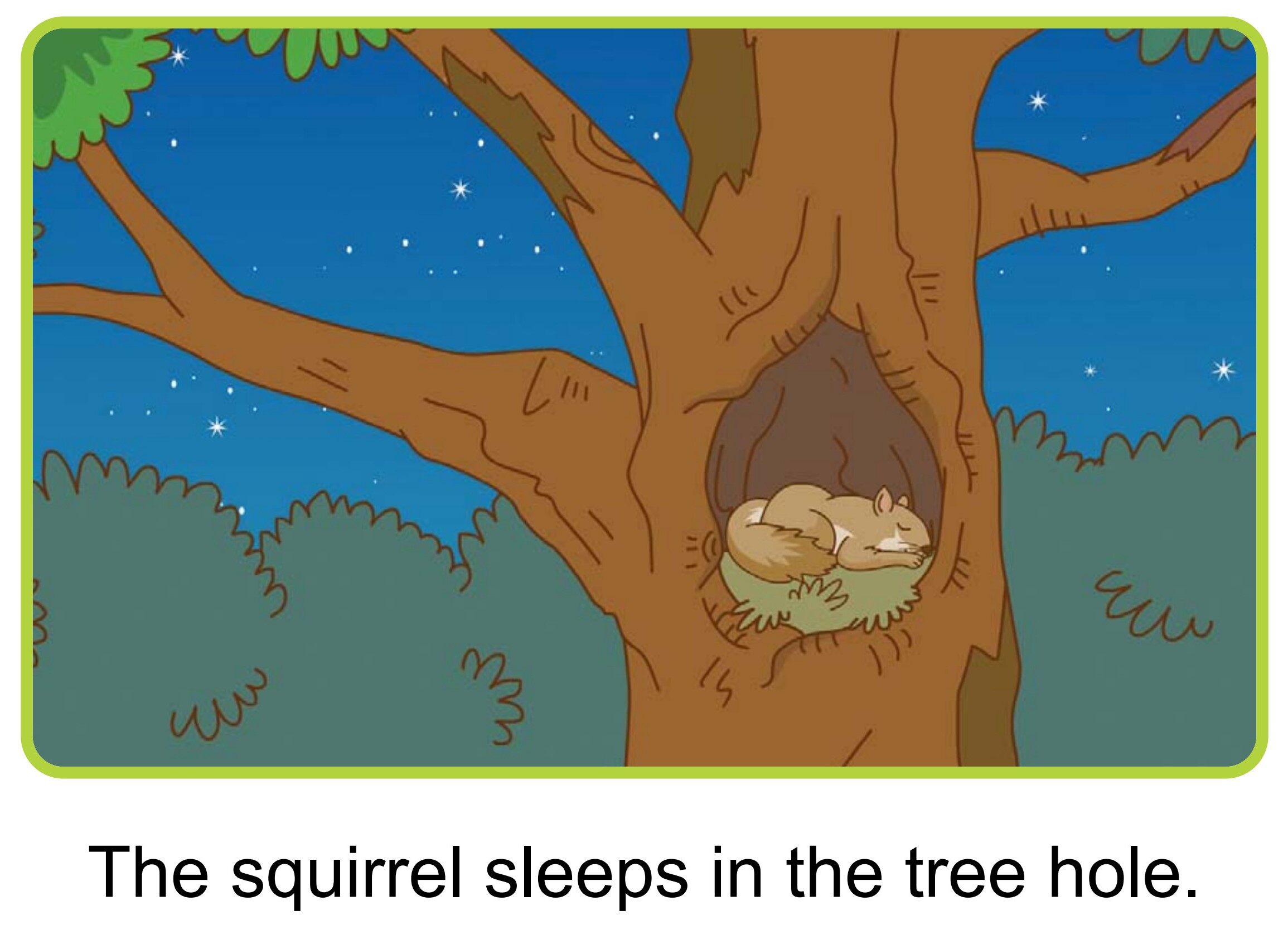 At Night绘本故事第5页