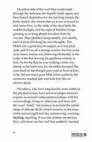 The Wind in the Willows (Part 5)绘本故事第4页