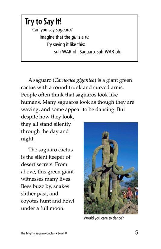 The Mighty Saguaro Cactus绘本故事第4页