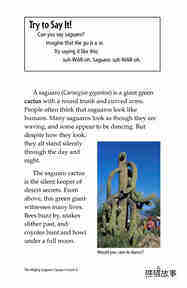The Mighty Saguaro Cactus绘本故事第4页