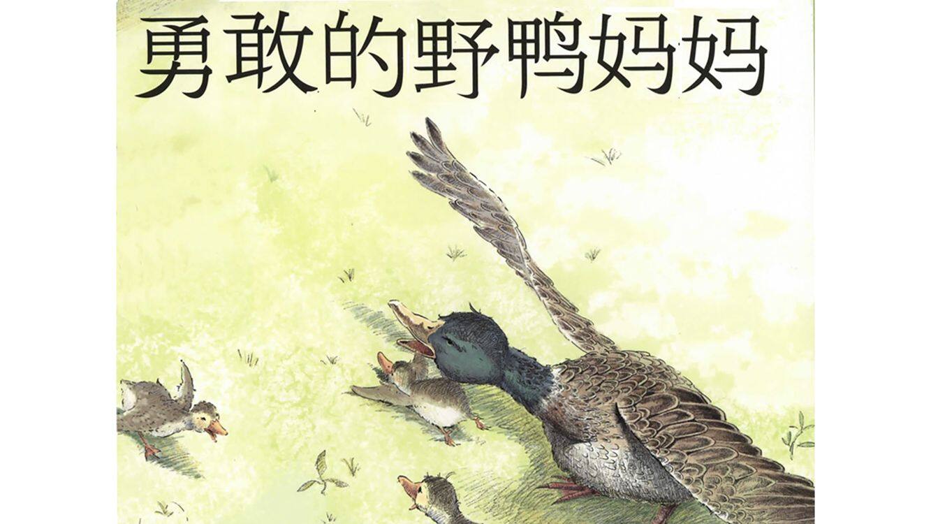 勇敢的野鸭妈妈绘本故事第2页