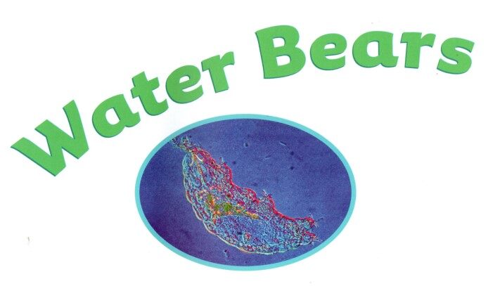 Water Bears绘本故事第2页