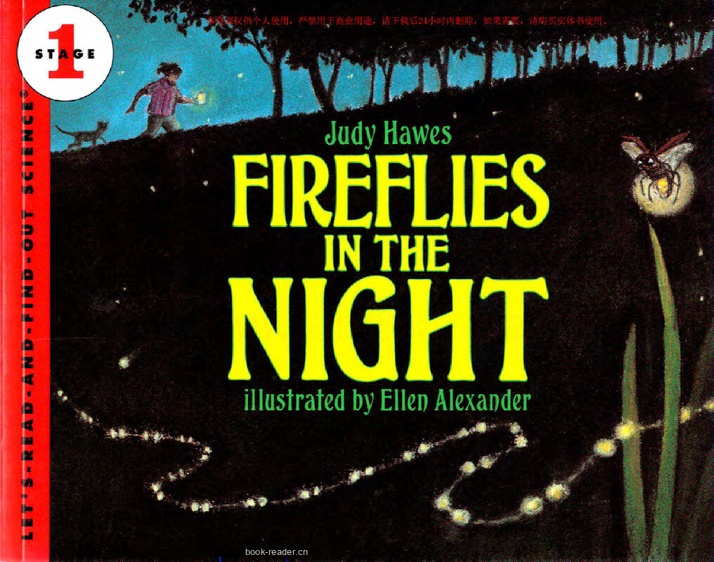 Fireflies in the Night绘本故事第2页