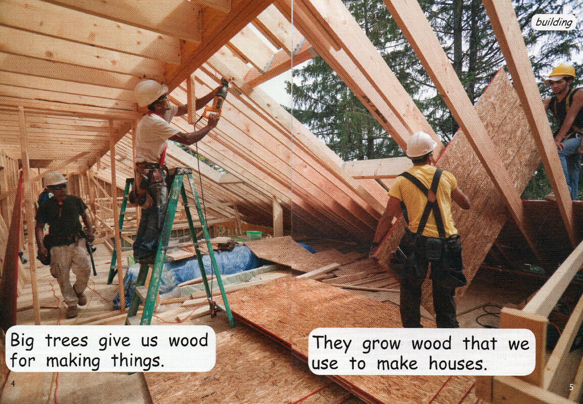 good things from trees绘本故事第4页