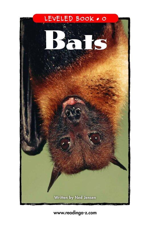 Bats绘本故事第2页