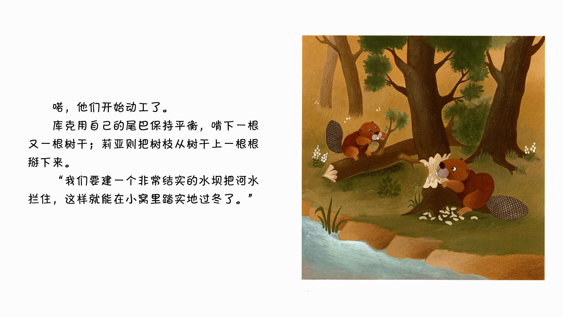 海狸绘本故事第5页