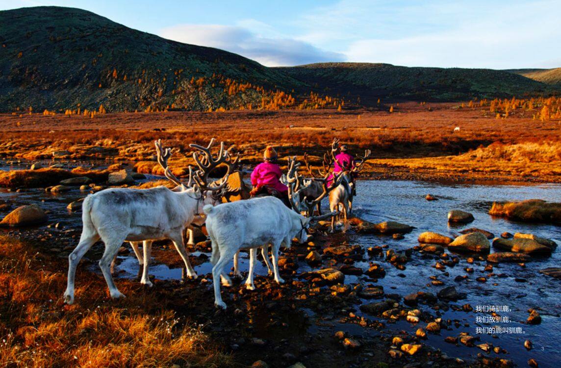 驯鹿人的孩子绘本故事第4页