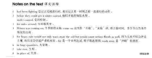 62 After the fire绘本故事第4页