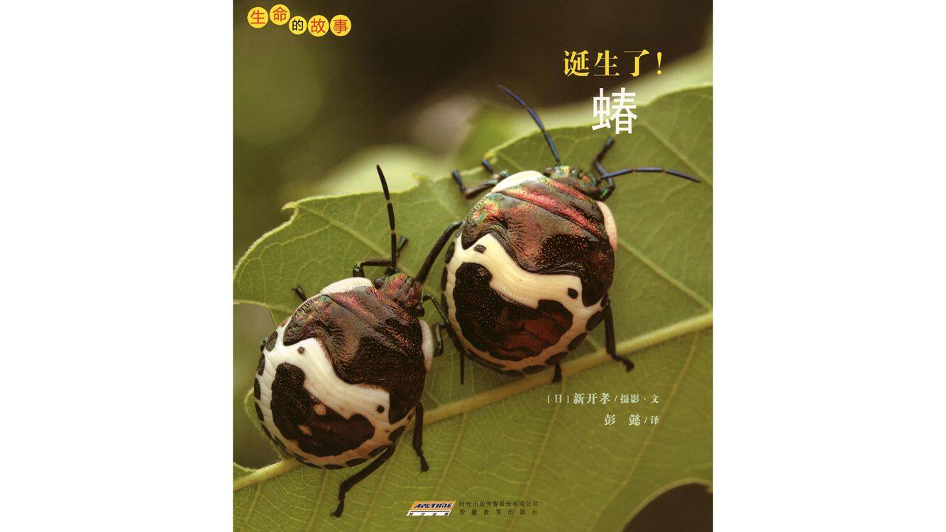 诞生了！蝽绘本故事第2页