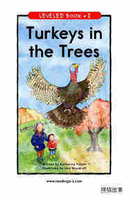 Turkeys in the Trees
