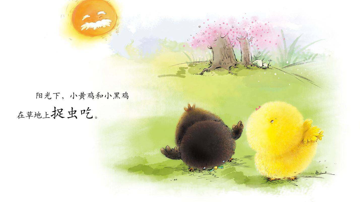 早期阅读系列——小黄鸡和小黑鸡绘本故事第2页