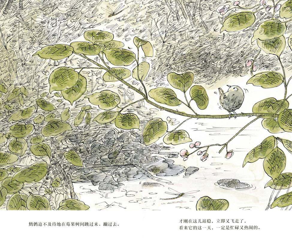 森林绘本故事第4页