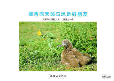 亲子绘本 黑背信天翁与风是好朋友绘本故事第1页
