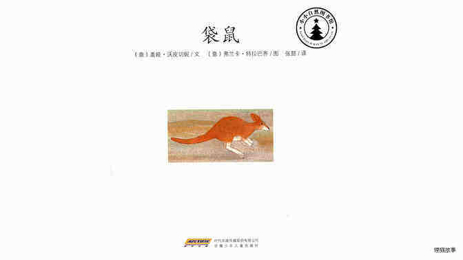 袋鼠绘本故事第2页