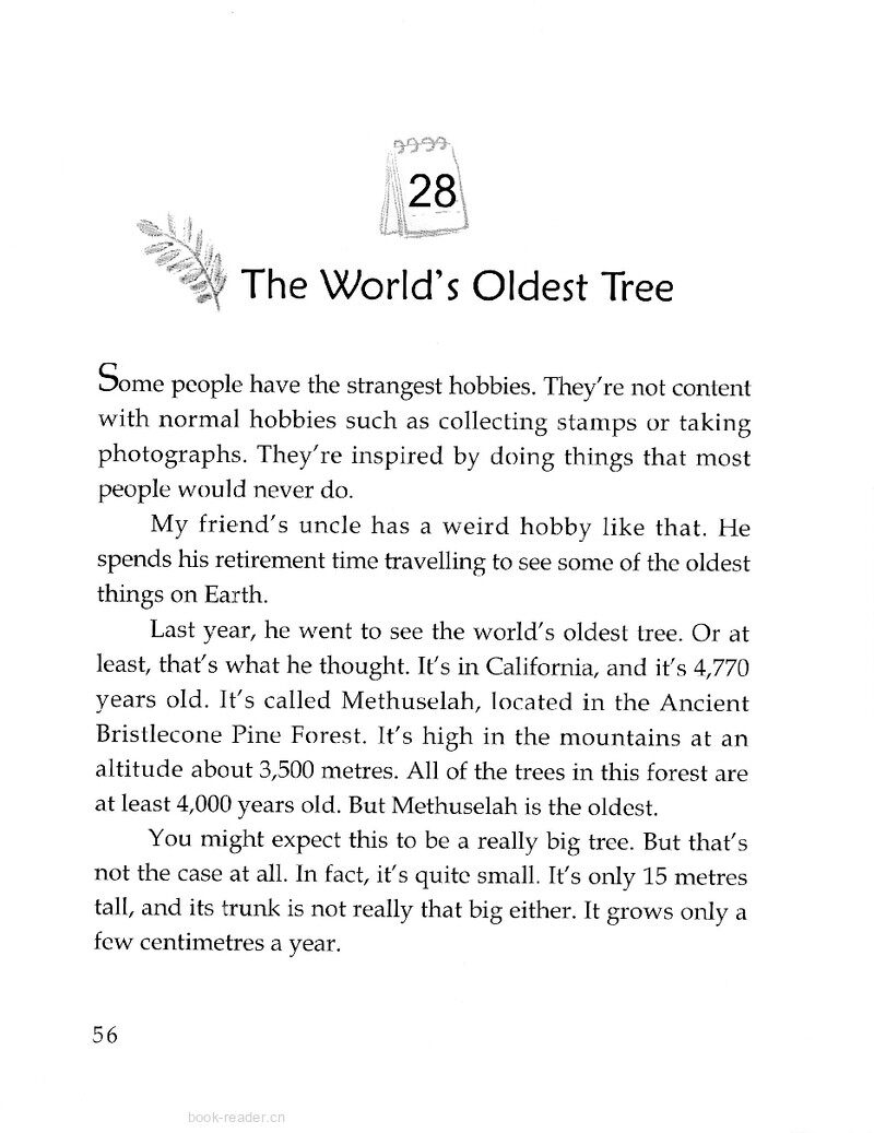 The World’s Oldest Tree绘本故事第2页
