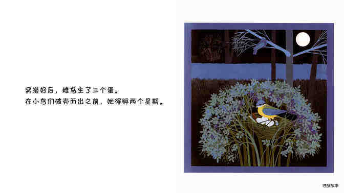 蓝冠山雀绘本故事第5页