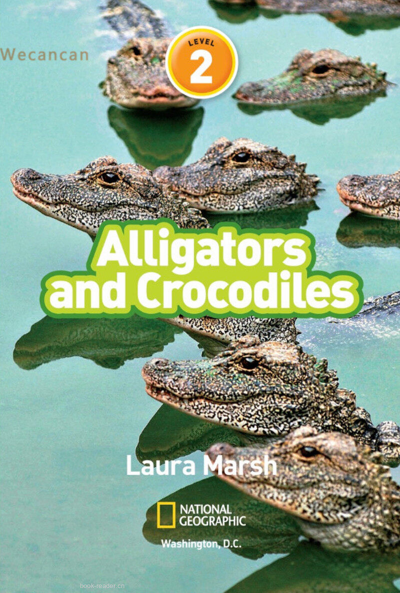 Alligators and Crocodiles