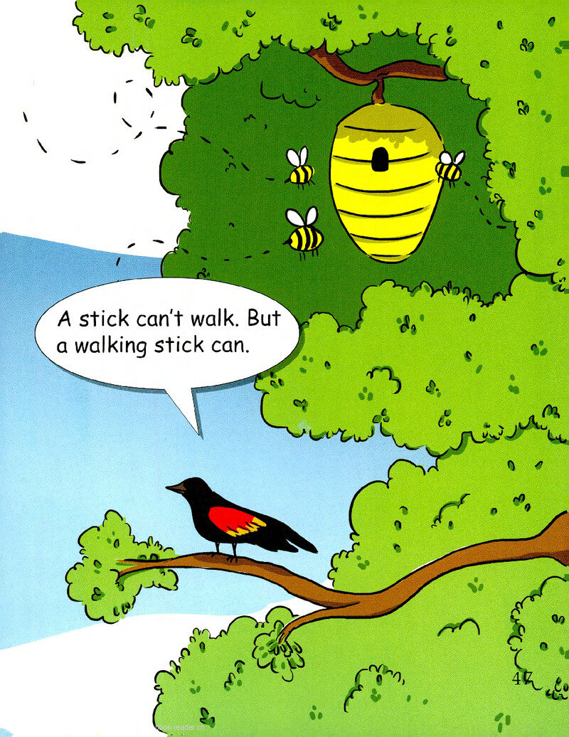 Names绘本故事第3页