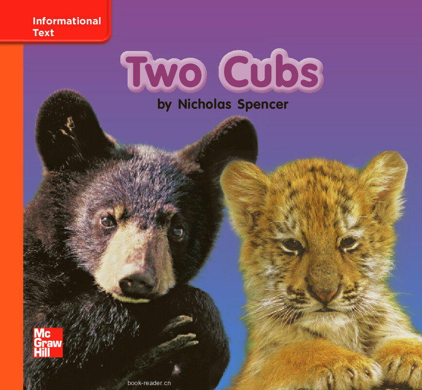 GK Approach U07W1 Two Cubs绘本故事第2页