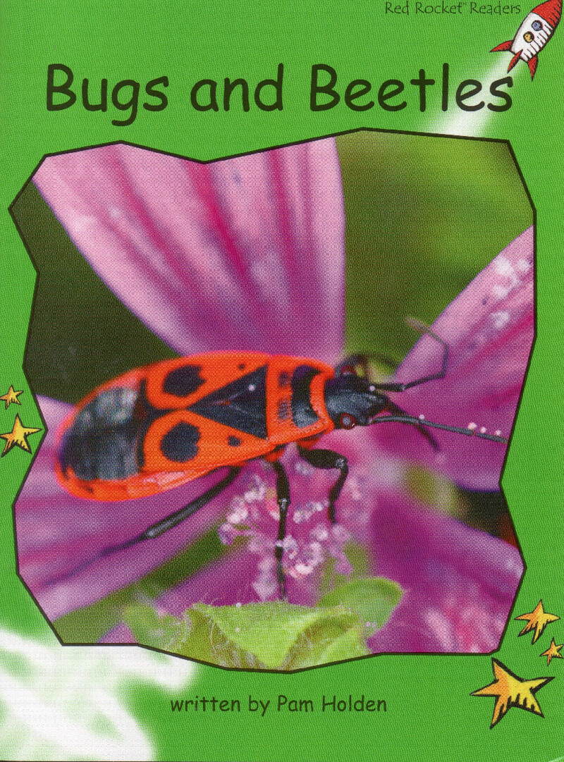 bugs and beetles绘本故事第2页