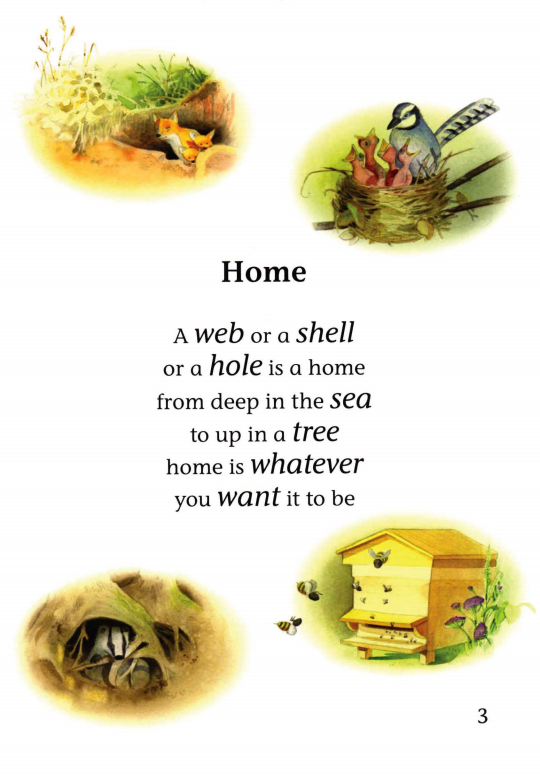 Homes Sweet Homes绘本故事第3页