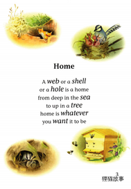 Homes Sweet Homes绘本故事第3页