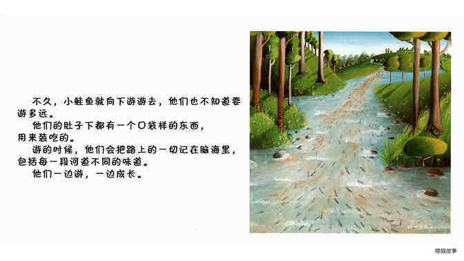 鲑鱼绘本故事第4页