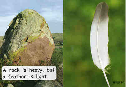 heavy or light绘本故事第4页