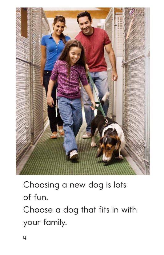 Caring for Your Dog绘本故事第4页