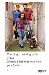 Caring for Your Dog绘本故事第4页