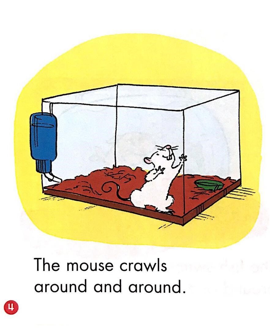 Class pets绘本故事第4页