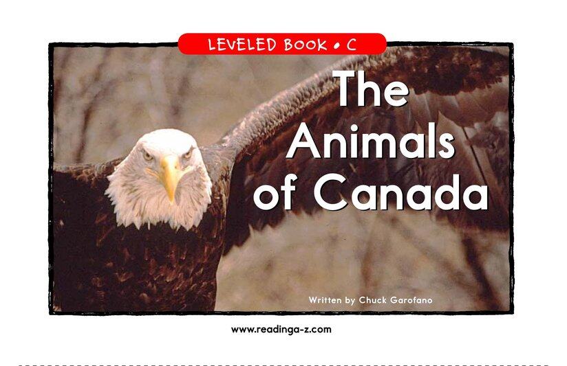 The Animals of Canada绘本故事第2页