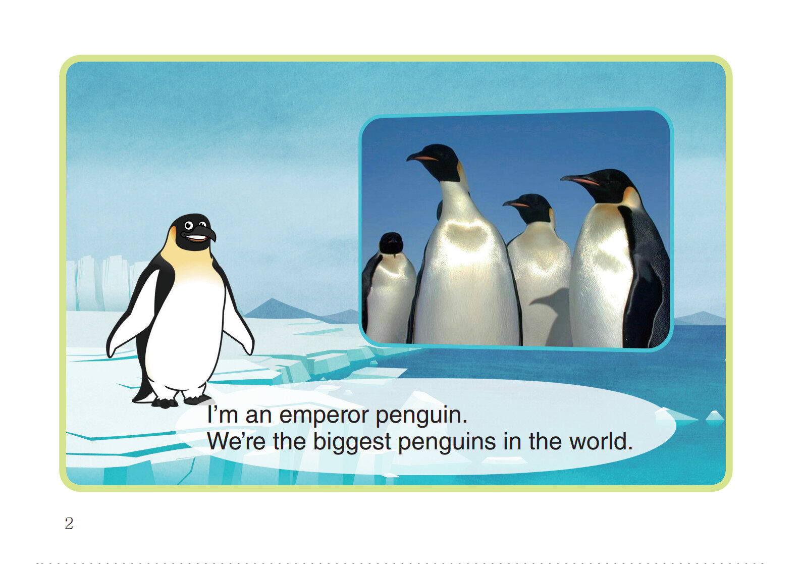 Emperor Penguin绘本故事第3页