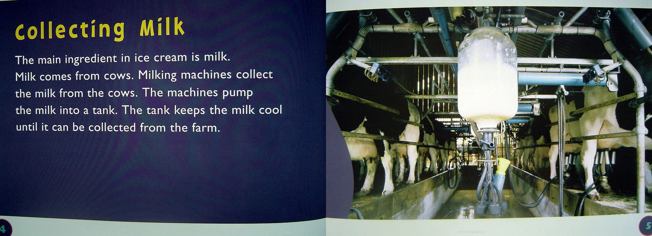 ice cream for you绘本故事第4页