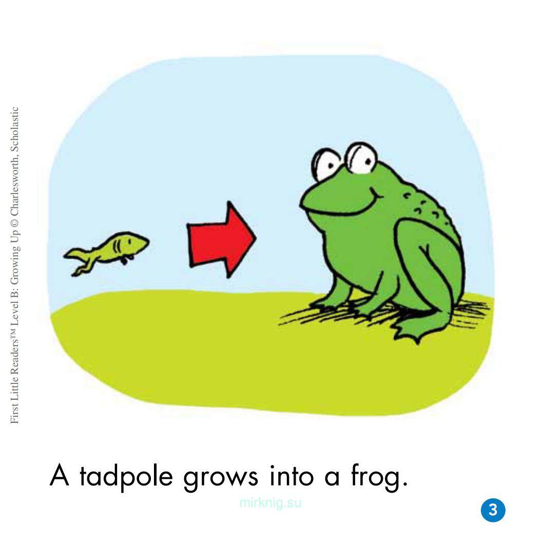 Growing Up绘本故事第4页