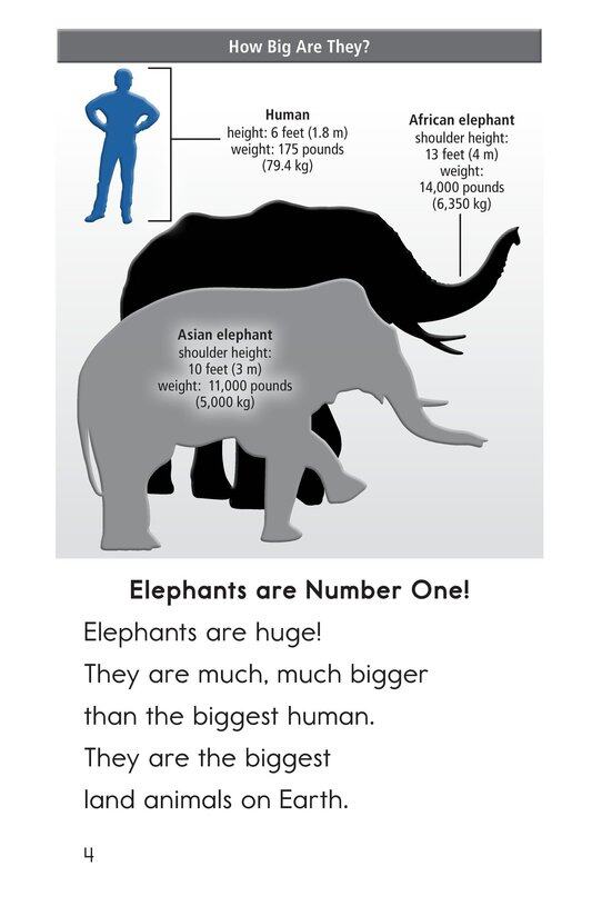 Elephants Giant Mammals绘本故事第3页