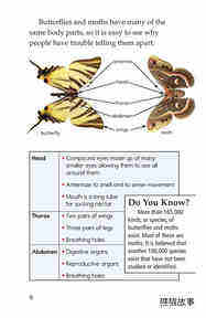 Butterflies and Moths绘本故事第5页